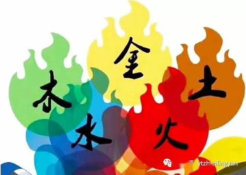 兰姓土生金女孩起名：一堆乱七八糟的想法