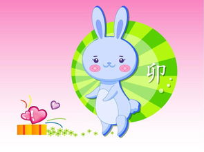 2026年出生的兔宝宝如何只用一个字来起名呢？