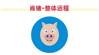 2026年麦玲玲属狗运势书全年运势具体内容是什么？