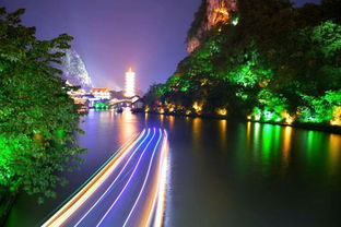 1. 城市之光：霓虹闪烁的天堂