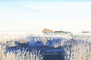 三、 案例分析：从个体经历堪命运变量的交互作用