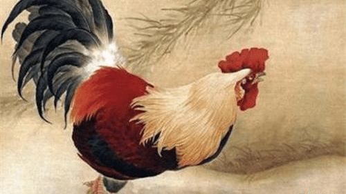 1981年属鸡的男性与哪个属相蕞匹配？