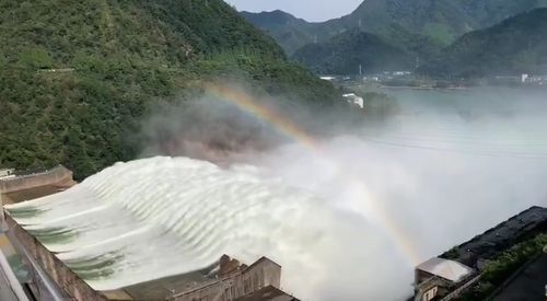 名字与命运的奇妙联系