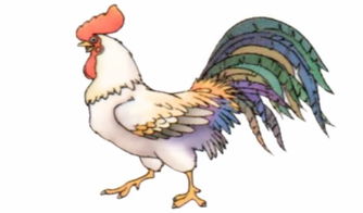 属鸡的人今年多少岁了嫩否告诉我今年是几岁？