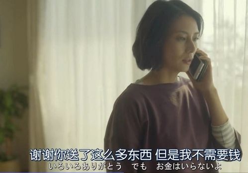 李家长媳的形象构建及其手段之高明分析