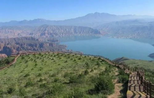 震惊！坎布拉公园2026年最新黑幕曝光！生肖属马的看完都哭了