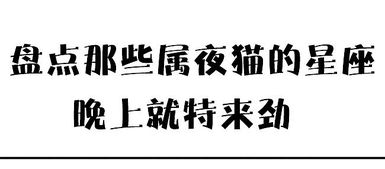 5.1 内外防护壳的双重作用