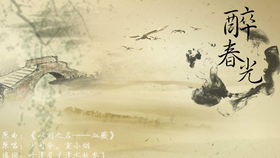 与探究背景