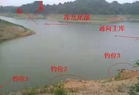 1. 水流特性与温度分布之关联