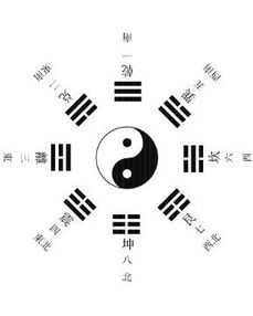 六、 阴阳互补及五行属性解析