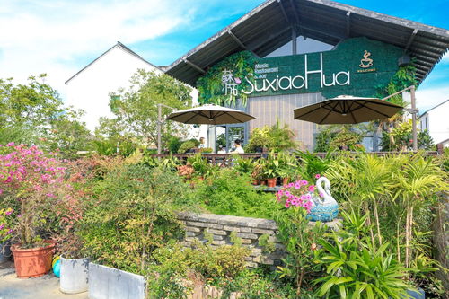 吴江旗袍小镇：一个被遗忘的角落