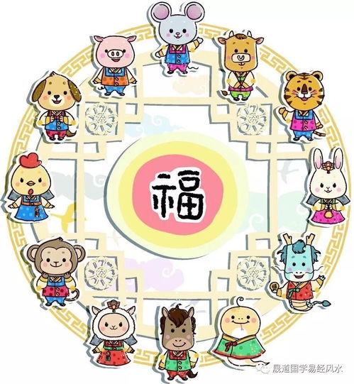 生肖兔：月德吉星庇佑下的资源整合与人际协同