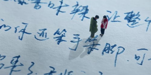 案例二：风水调适促进伴侣关系和谐