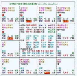 紫微斗数如何看配偶家境和长相？能否详细批改？