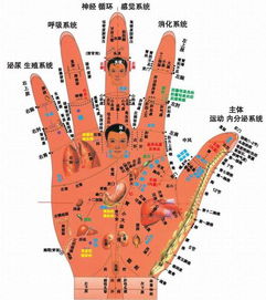 三、 “掌心藏水”论点在现代化科学研究框架下的检验