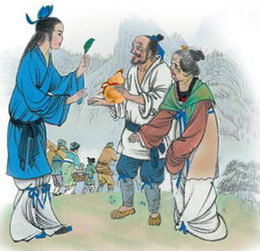 1. 功能性——身体健康状况防疫与精神层面寄托