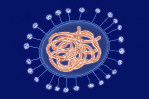 什么是七煞星命格和七星命格？它们对个人命运有何影响？