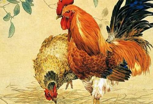 2026年属鸡人的运势和财运如何，整体运程怎样？