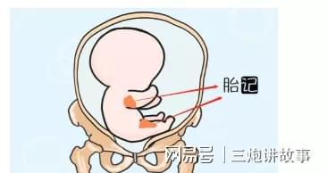三、 五行属性对胎记吉凶判定的决定性贡献