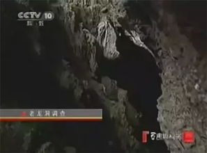 （二）文化层面的情感共鸣