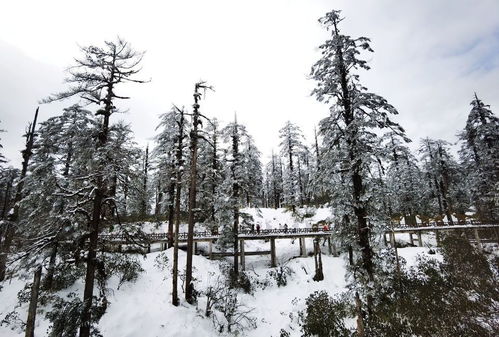 瓦屋山究竟在哪儿？咋去？（别问我方向感不好！）
