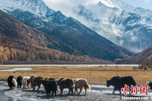 四姑娘山：蜀山之后的女神峰