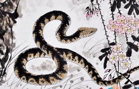 2026年属蛇全年财运如何具体表现是什么？