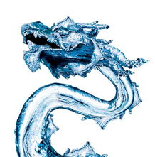 曾老为何断言2026年是水龙年，而哪些年份属土龙？