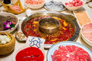 旅行Tips与美食推荐