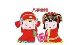 96年女和99年男八字合婚，两人的命理是否相配，婚姻前景如何？
