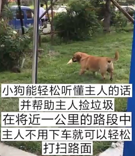 a) 把脑袋砸进键盘，随便敲几下。