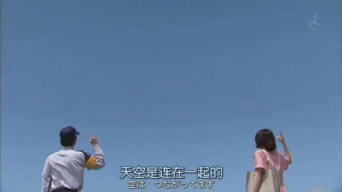 三、 “宠炎热爱”与“事业”主纹并行向上的象征意义