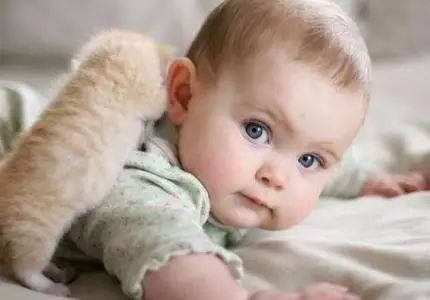 三、“八卦”才是王道