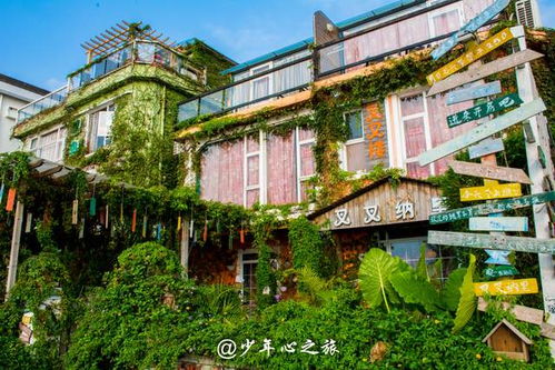 C. “艺术感+噪音”实战演练——全程无脑操作指南：