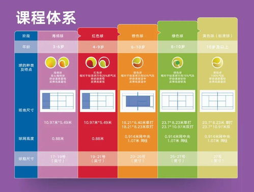 市场实证与案例研究：12月20日的商业实践