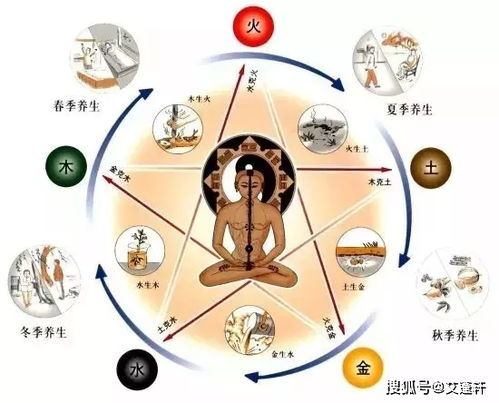 五、 饮食调摄与养护策略的综合建议