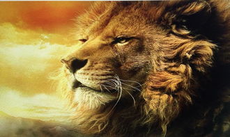 狮子是什么生肖？打一生肖指的是什么生肖？