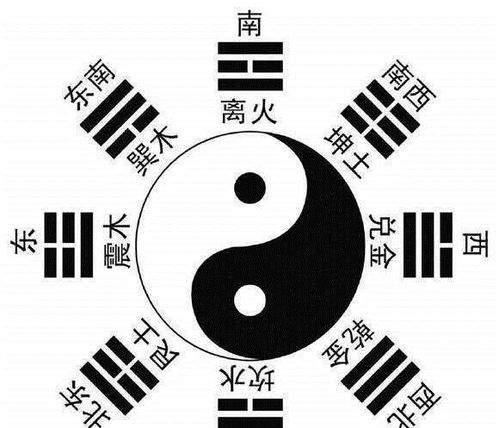 五、 八卦花絮：那些被忽略却超好听的奇葩名字（随便抖一下）