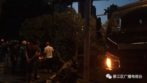 一、 风暴之夜：命运的无情与悲剧的开端