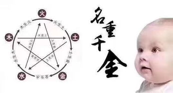 水与木的矛盾：相克之象不可忽视