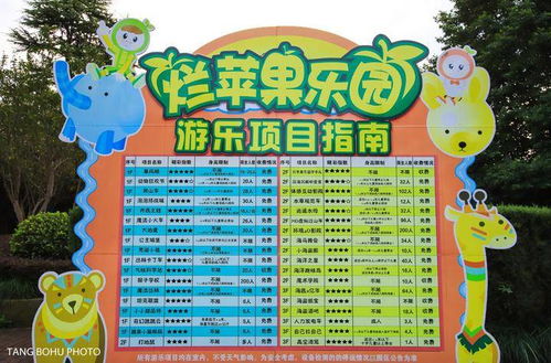 6. “亲子活动”实战案例——现场乱套版