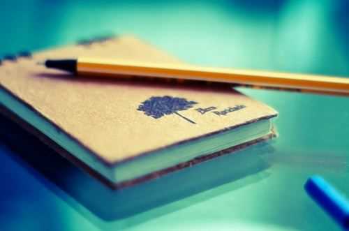 枫字五行属性解读