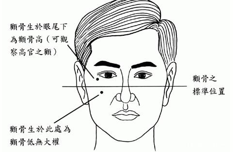 三、 传统面相学的视角：性格命运的映射