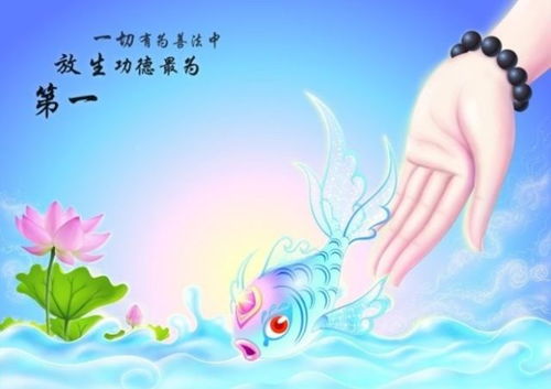 四、 “下元节” 放生活动之具体方式分类探讨