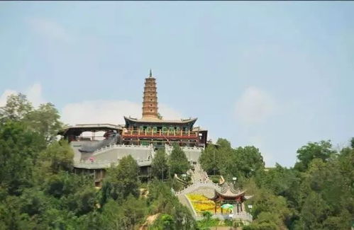 白塔山公园累死个人但值得爬