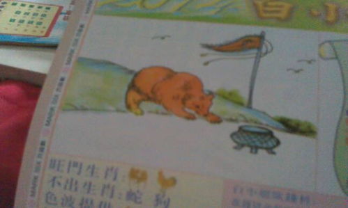 蛛丝马迹究竟指向哪个生肖？