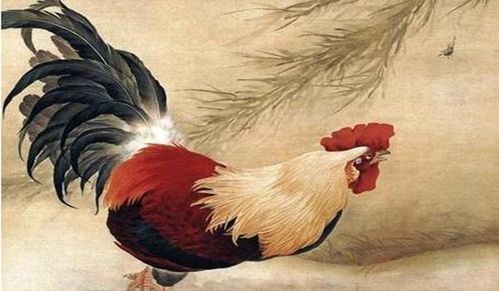 属鸡人晚年运势中，属鸡的贵人和婚姻关系如何影响贵人运势？