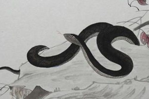 属蛇辰时出生是什么命？属蛇命中劫难年会是哪一年？