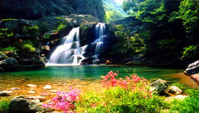 门票价格：抢劫都没这么狠！