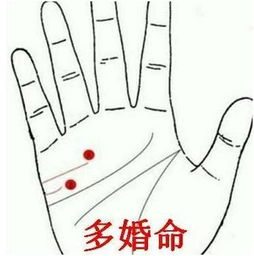 手相五条纹路如何解读？女士手相纹路图解分析